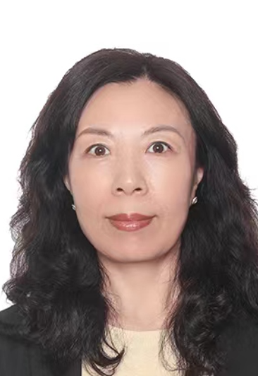 IP Director｜知识产权总监 