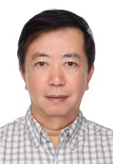 Chief IP Officer ｜首席知识产权官